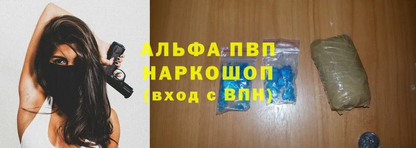 прущие грибы Магадан
