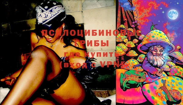 метадон Алексеевка