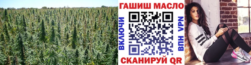 ТГК THC oil  Павловская 