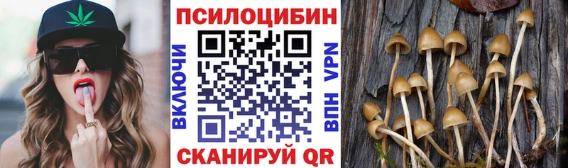 Псилоцибиновые грибы ЛСД  сайты даркнета как зайти  Павловская  цены наркотик 